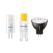 Philips LED Steeklampen